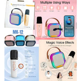 KARAOKE MIC