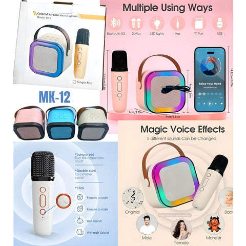 KARAOKE MIC